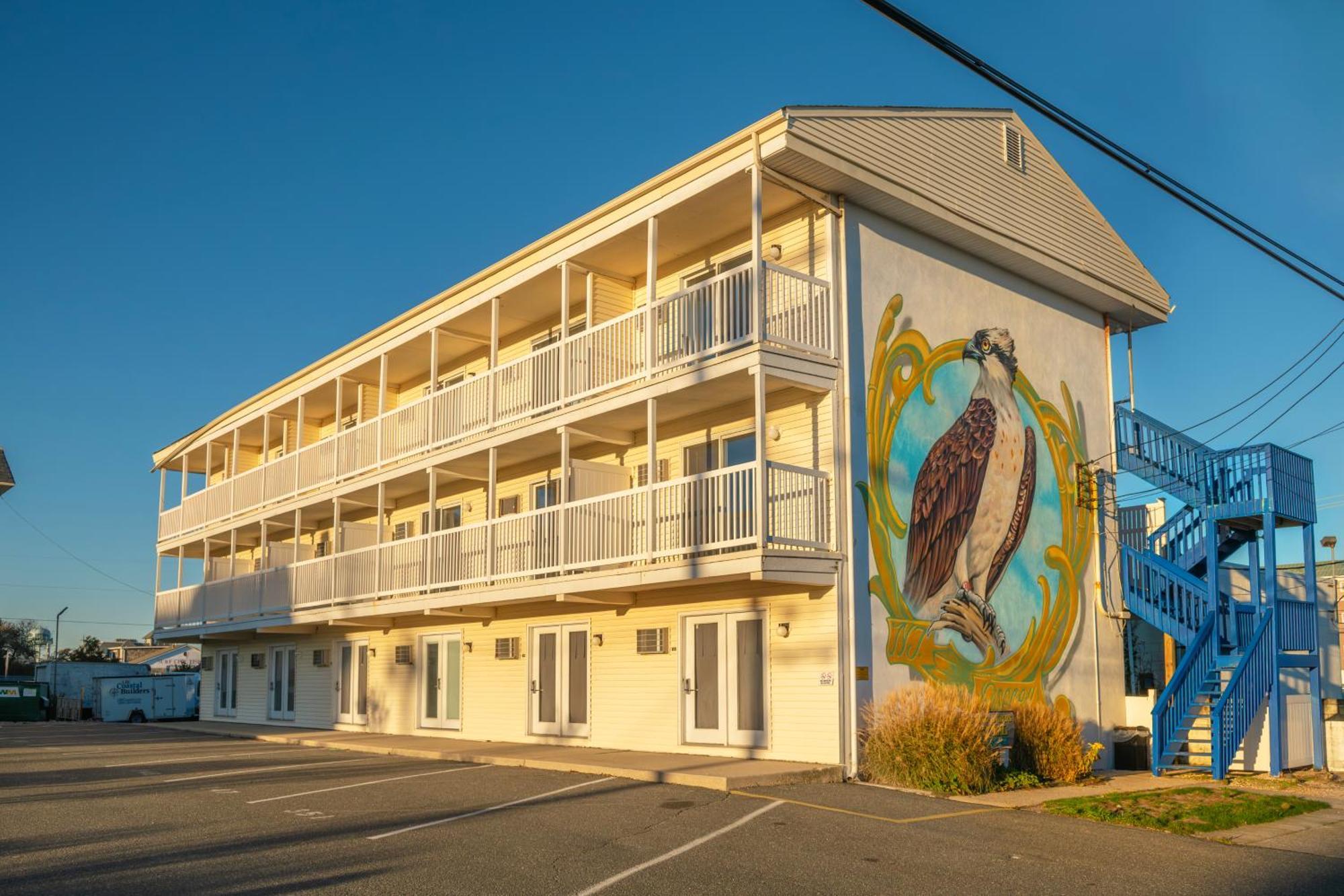 Drifting Sands Oceanfront Hotel Ship Bottom Eksteriør billede